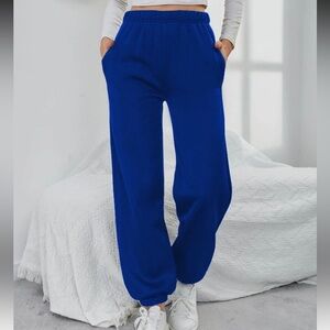 SHEIN Blue Fleece Joggers